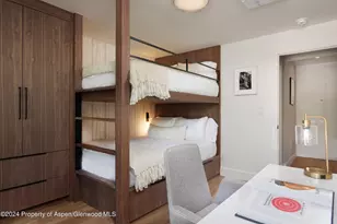 205 E Durant Ave, Aspen, CO 81611 - Photo 27