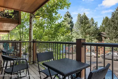 205 E Durant Avenue #1-I, Aspen, CO 81611 - Photo 31