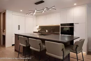 205 E Durant Ave, Aspen, CO 81611 - Photo 15