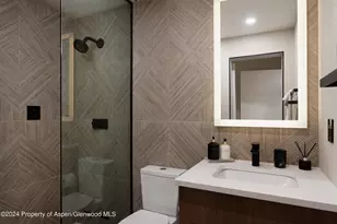 205 E Durant Ave, Aspen, CO 81611 - Photo 21