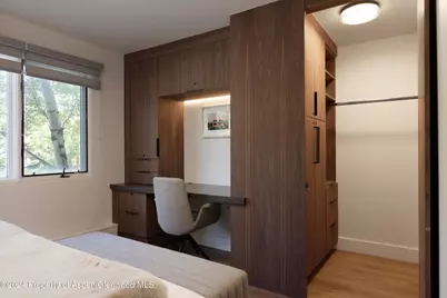 205 E Durant Avenue #1-I, Aspen, CO 81611 - Photo 19
