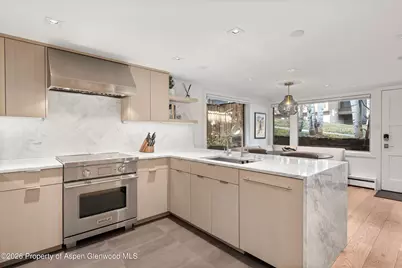 731 S Mill Street #Unit 2d, Aspen, CO 81611 - Photo 5