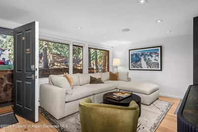 731 S Mill Street #Unit 2d, Aspen, CO 81611 - Photo 3
