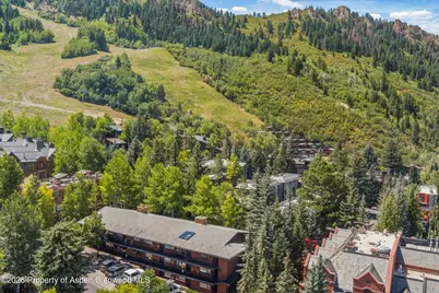 731 S Mill Street #Unit 2d, Aspen, CO 81611 - Photo 15
