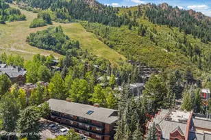 731 S Mill St, Aspen, CO 81611 - Photo 15