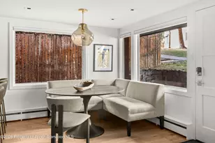 731 S Mill St, Aspen, CO 81611 - Photo 11