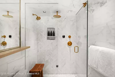 731 S Mill Street #Unit 2d, Aspen, CO 81611 - Photo 23