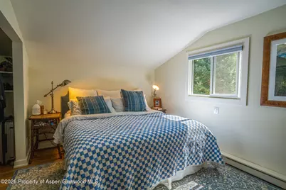 285 Conundrum Road, Aspen, CO 81611 - Photo 19