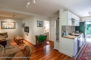 285 Conundrum Rd, Aspen, CO 81611 - Photo 21