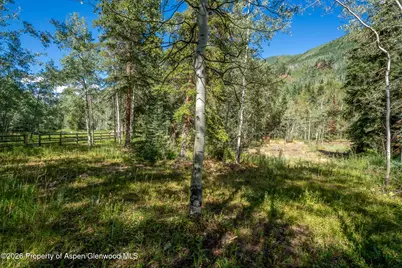 285 Conundrum Road, Aspen, CO 81611 - Photo 35