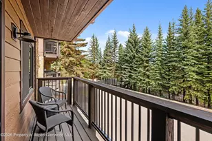 650 S Monarch St, Aspen, CO 81611 - Photo 7