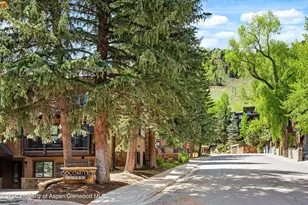 650 S Monarch St, Aspen, CO 81611 - Photo 23