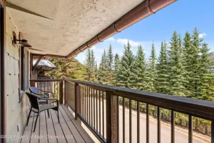650 S Monarch St, Aspen, CO 81611 - Photo 29