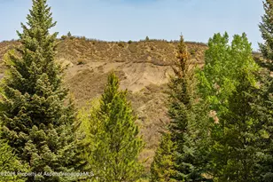 30 Anderson Ln, Snowmass Village, CO 81615 - Photo 17