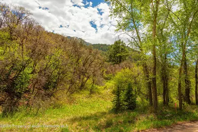 Tbd Crystal Lane, Carbondale, CO 81623 - Photo 19