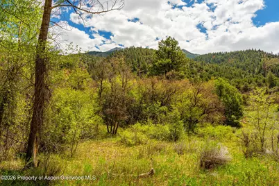 Tbd Crystal Lane, Carbondale, CO 81623 - Photo 15