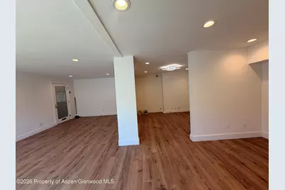 601 E Hopkins Avenue #202, Aspen, CO 81611 - Photo 9