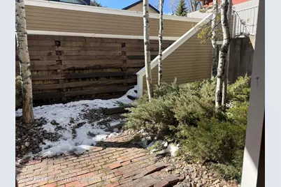 617 W Main Street #B, Aspen, CO 81611 - Photo 7