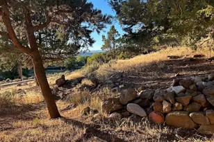 422 Sopris Creek Rd, Basalt, CO 81621 - Photo 67
