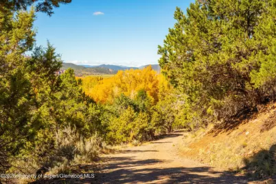 422 Sopris Creek Road, Basalt, CO 81621 - Photo 49