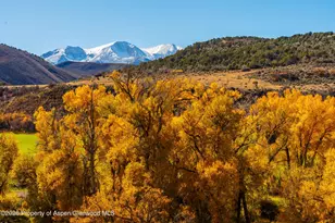 422 Sopris Creek Rd, Basalt, CO 81621 - Photo 45