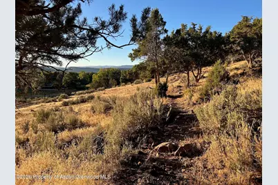 422 Sopris Creek Road, Basalt, CO 81621 - Photo 69