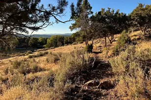422 Sopris Creek Rd, Basalt, CO 81621 - Photo 69