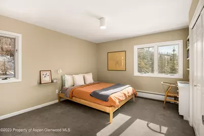 1036 Red Mountain Road, Aspen, CO 81611 - Photo 17