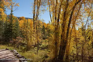 1036 Red Mountain Rd, Aspen, CO 81611 - Photo 35