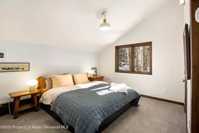 1036 Red Mountain Road, Aspen, CO 81611 - Photo 13