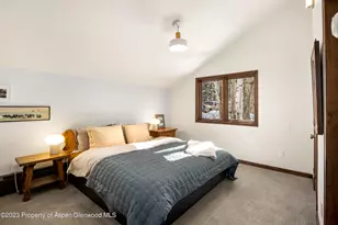 1036 Red Mountain Rd, Aspen, CO 81611 - Photo 13