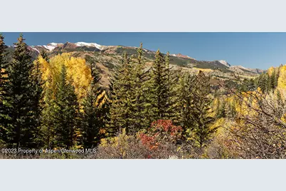 1036 Red Mountain Road, Aspen, CO 81611 - Photo 37