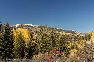 1036 Red Mountain Rd, Aspen, CO 81611 - Photo 37