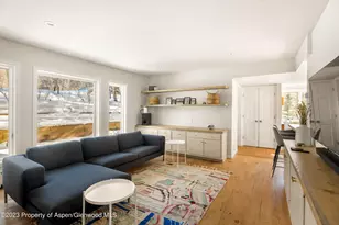 1036 Red Mountain Rd, Aspen, CO 81611 - Photo 7