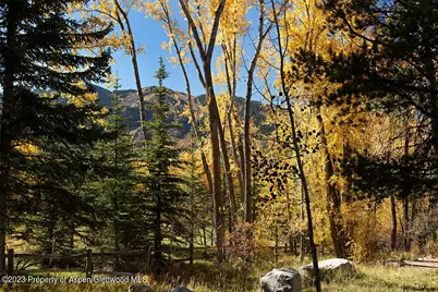 1036 Red Mountain Road, Aspen, CO 81611 - Photo 31