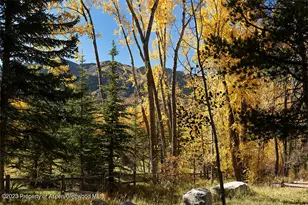 1036 Red Mountain Rd, Aspen, CO 81611 - Photo 31