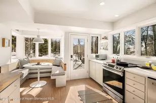 1036 Red Mountain Rd, Aspen, CO 81611 - Photo 3