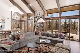 1036 Red Mountain Rd, Aspen, CO 81611 - Photo 9