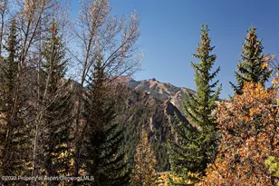 1036 Red Mountain Rd, Aspen, CO 81611 - Photo 33
