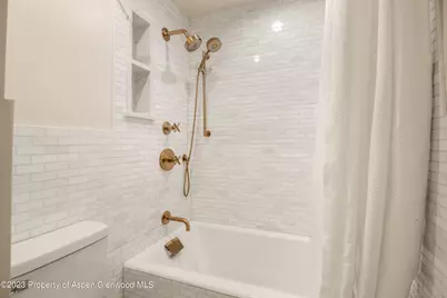 1036 Red Mountain Road, Aspen, CO 81611 - Photo 15