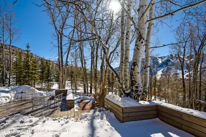 1036 Red Mountain Road, Aspen, CO 81611 - Photo 23