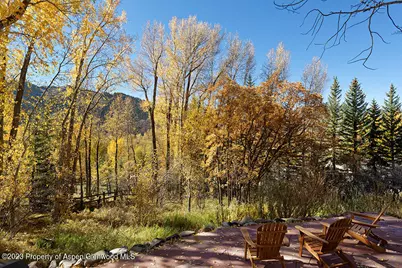 1036 Red Mountain Road, Aspen, CO 81611 - Photo 27