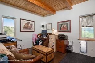 208 Grange Ln, Carbondale, CO 81623 - Photo 19
