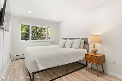 100 E Dean Street #1d, Aspen, CO 81611 - Photo 11