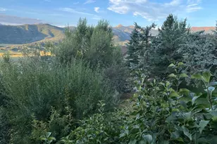 234 Light Hill Rd, Snowmass, CO 81654 - Photo 11