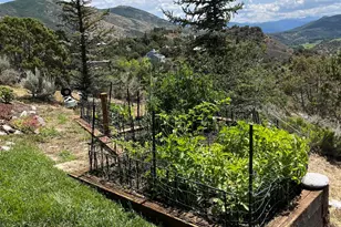 234 Light Hill Rd, Snowmass, CO 81654 - Photo 29