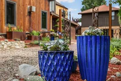 640 Lincoln Avenue #630, Carbondale, CO 81623 - Photo 5