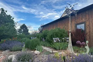 640 Lincoln Ave, Carbondale, CO 81623 - Photo 9