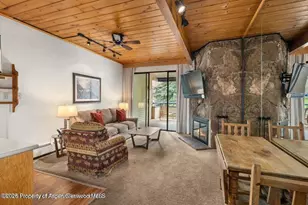 301 E Hyman Ave, Aspen, CO 81611 - Photo 5