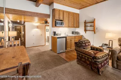 301 E Hyman Avenue #202, Aspen, CO 81611 - Photo 7